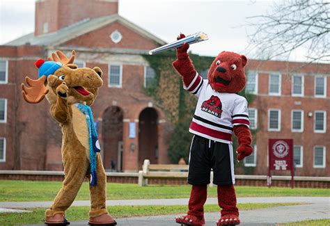 Suny mascot competition 2023